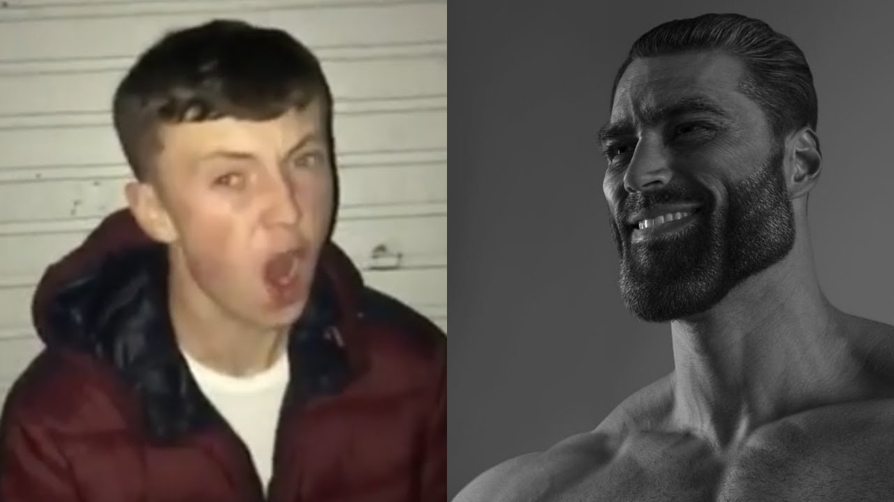Average Fan vs Average Enjoyer Meme Template
