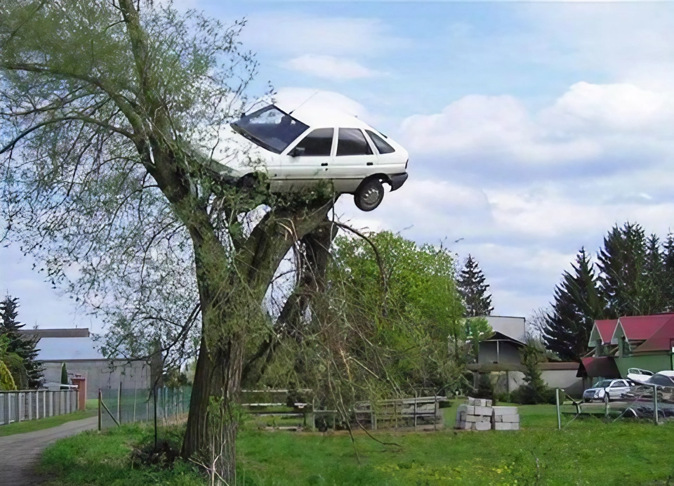 Car Stuck in Tree Meme Template