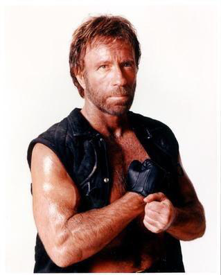 Chuck Norris Punches Meme Template