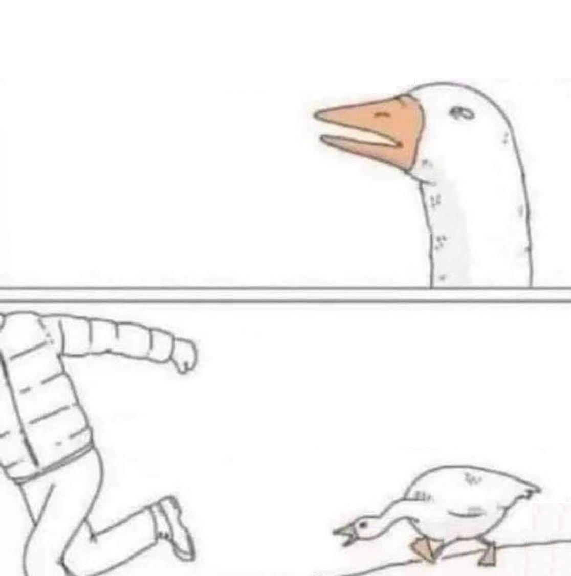 Goose Chasing Man Meme Template