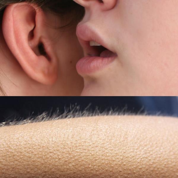 Goosebumps Whisper Meme Template