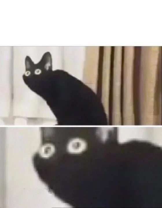 Shocked Black Cat Meme Template